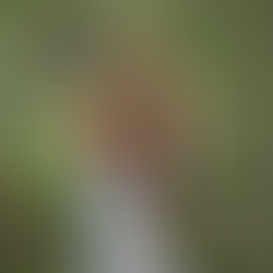 Akupressur und ätherische Öle