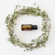 doTERRA Thyme (Thymian) ätherisches Öl – entzündungshemmend und antibakteriell, unterstützt das Immunsystem, hilft bei der Linderung von Erkältungsbeschwerden und Atemwegsproblemen. Ideal zur Förderung der Hautpflege bei Hautinfektionen und zur Unterstützung bei Verdauungsproblemen. doTERRA kaufen in Deutschland, Österreich und der Schweiz – für natürliche Unterstützung bei Erkältungen, Hautproblemen und Verdauungsbeschwerden.