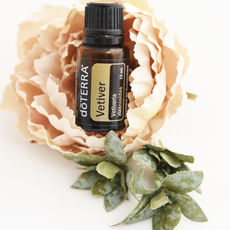 doTERRA Vetiver (Vetiver) ätherisches Öl – beruhigend und erdend, unterstützt die emotionale Balance, hilft bei der Linderung von Stress, Angstzuständen und Schlafstörungen. Ideal zur Förderung der Hautpflege und zur Beruhigung des Nervensystems. doTERRA kaufen in Deutschland, Österreich und der Schweiz – für natürliche Unterstützung bei emotionaler Ausgeglichenheit, Schlafproblemen und Hautirritationen