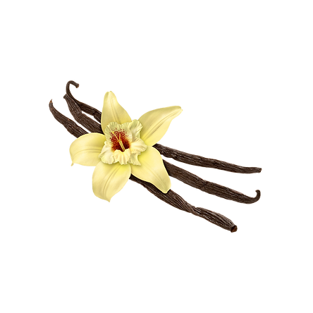 Experience the rich and soothing aroma of doTERRA Madagascar Vanilla Essential Oil. Crafted with care, our Madagascar Vanilla Essential Oil captures the warm, sweet, and comforting essence of pure vanilla. Elevate your aromatherapy and wellness routine with this delightful and versatile oil. Discover the natural world of doTERRA today