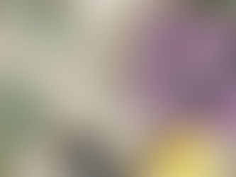 Schlaflos in Seattle? Mit diesen 3 Ölen wirst du wie ein Baby schlafen