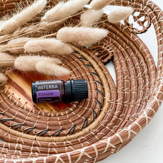 doTERRA Console ätherische Ölmischung – beruhigend und tröstend, hilft bei der Linderung von Trauer, Stress und emotionalen Belastungen. Ideal zur Unterstützung bei der Verarbeitung von Verlusten und schwierigen Zeiten.