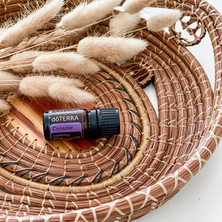 doTERRA Console ist eine beruhigende ätherische Ölmischung für emotionale Unterstützung in Zeiten von Trauer, Verlust oder innerer Unruhe. Der tröstende Duft aus Blüten- und Holzölen hilft, Hoffnung und Frieden zurückzugewinnen. Jetzt entdecken bei deiner doTERRA Beraterin in Deutschland, Österreich oder der Schweiz.