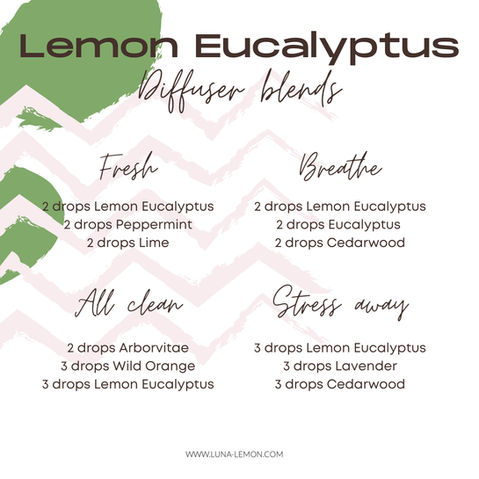 doTERRA essential oils, Germany, Austria, Switzerland: doTERRA Lemon Eucalyptus diffuser blends, Lemon Eucalyptus oil