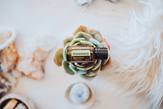 rosemary flat succulents