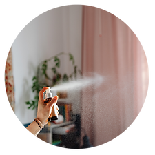 Transform your space into a serene woodland oasis with our doTERRA-inspired DIY room spray featuring black spruce essential oil. Experience the refreshing, forest-inspired aroma.
