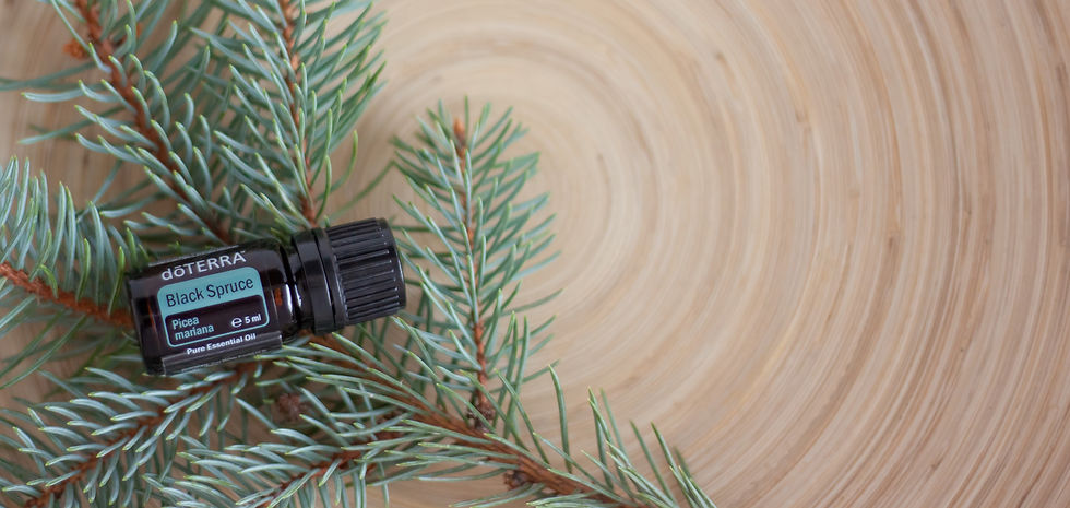 Black Spruce 5ml_edited.jpg