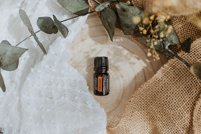 arborvitae oil 5ml.jpg