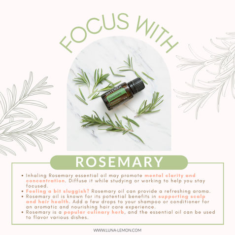 doTERRA essential oils, Germany, Austria, Switzerland: doTERRA Rosemary Focus Blend