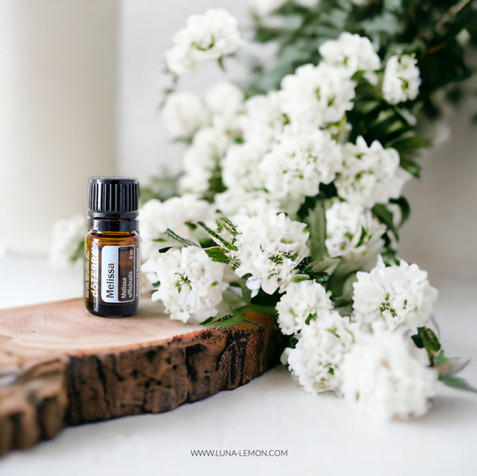 doTERRA ätherische Öle, Deutschland, Österreich, Schweiz: doTERRA Melissa, Zitronenmelisse kaufen