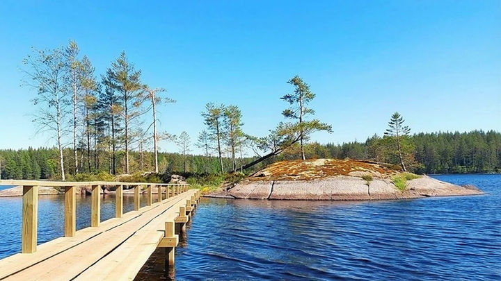 Pitkospuu lankkusilta