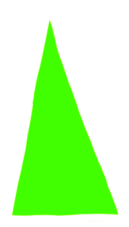 teeth