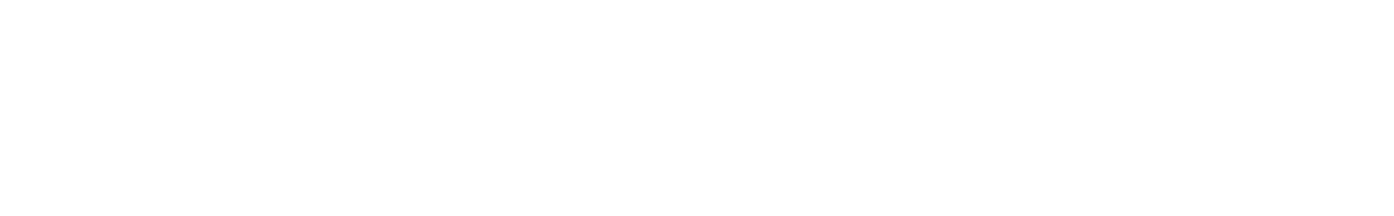 Safetyr: cutting-edge, privacy-focused secure phone