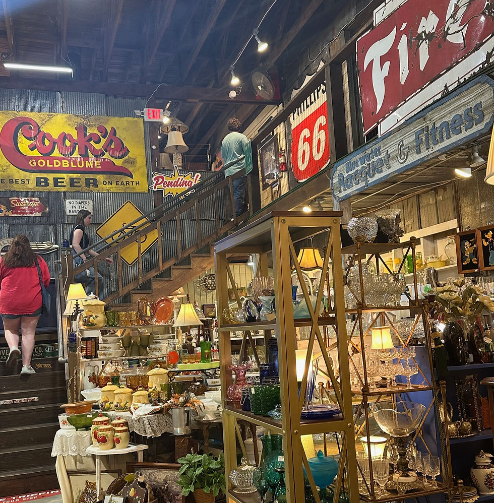 Corner of the Lucky Rabbit Thrift Store. Has large vintage signs and shelves of antique bottles.