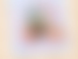 Pumpkin Border 1