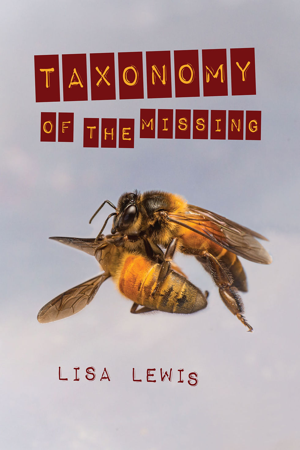 TaxonomyOfTheMissing.jpg