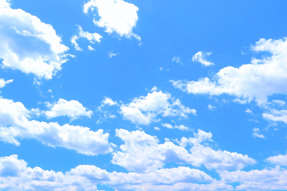 ree