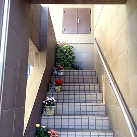 羽田歯科医院の入口への階段