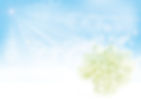 青空とかすみ草