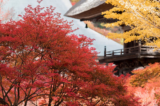 信州大町霊松寺の紅葉