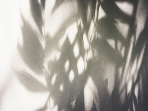 AdobeStock_211448703.jpeg