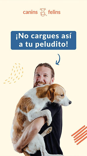 Canins - Historia junio.jpeg