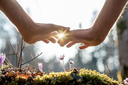 AdobeStock_81717411.jpeg