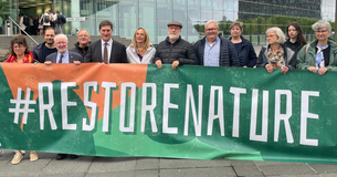 At last! Nature Restoration Law finally approved!