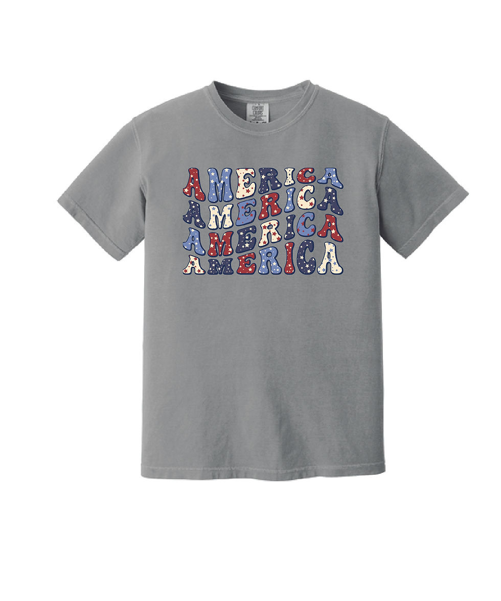 Thumbnail: AMERICA x4 - Comfort Colors Heavyweight Ring Spun Tee