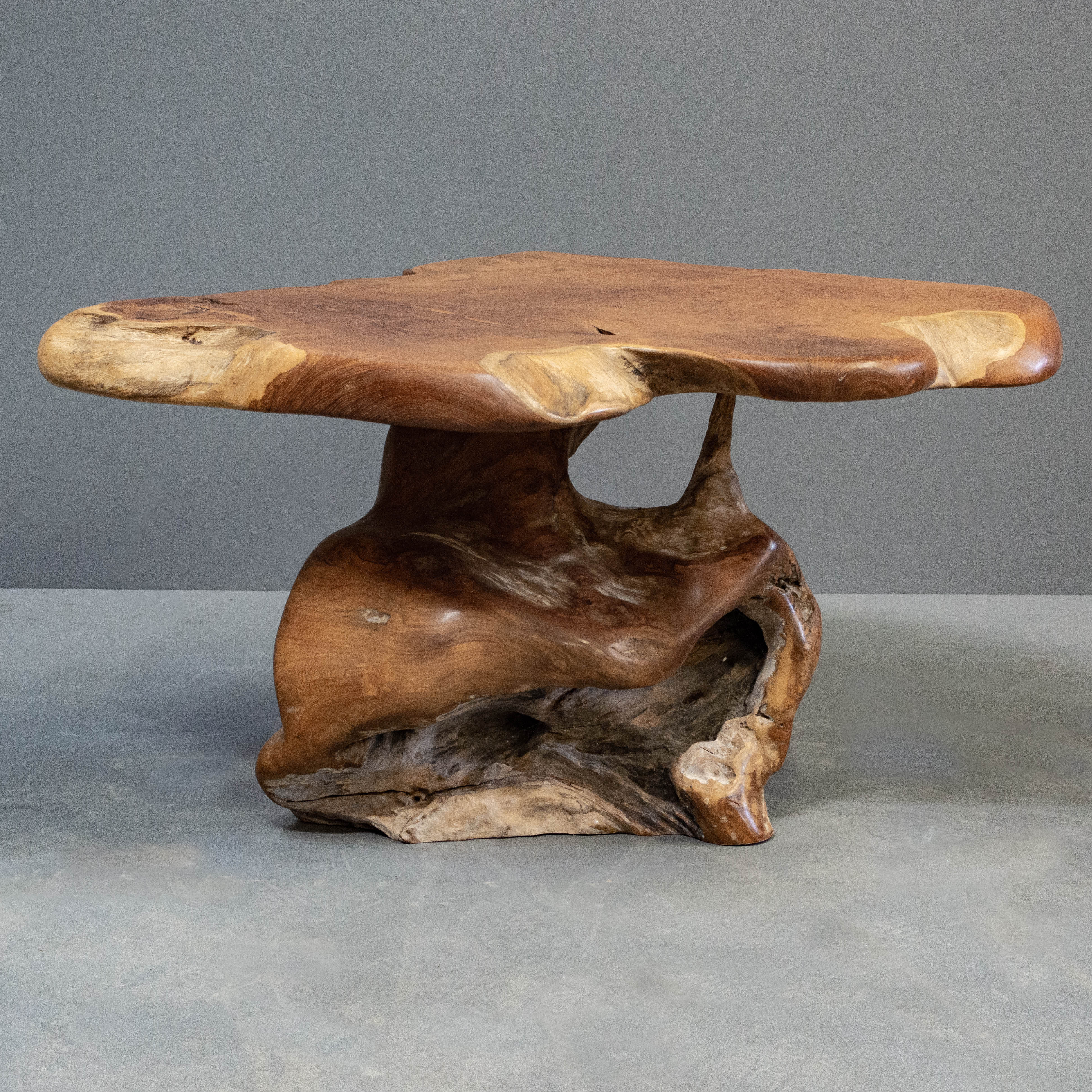 Live Edge Teak Root Coffee Table
