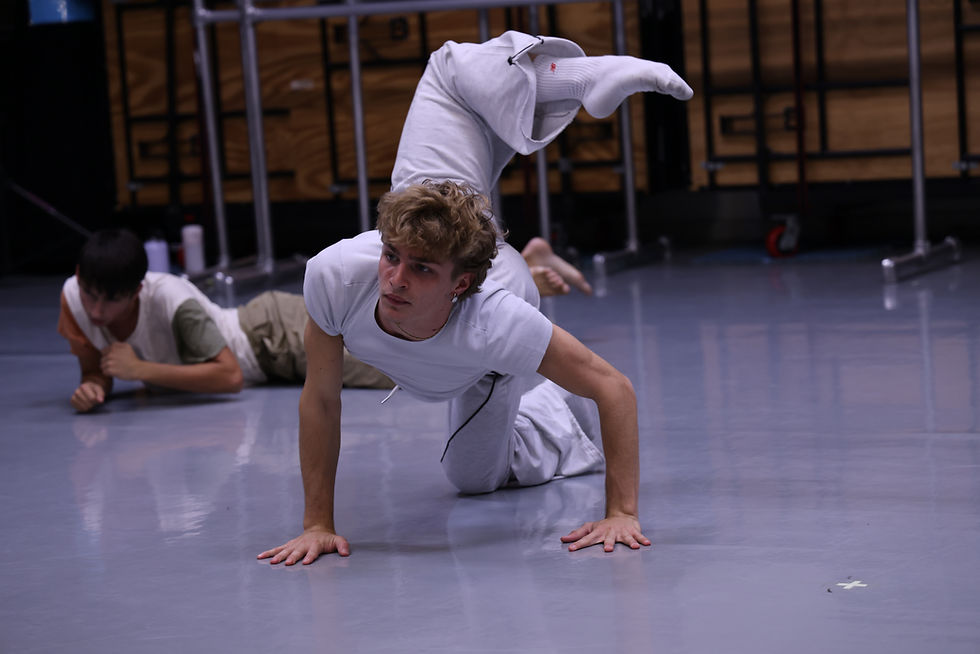 PCDC Summer Intensive