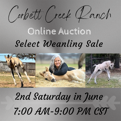 Oklahoma Storms, Mares Close to Foaling and Big News!!