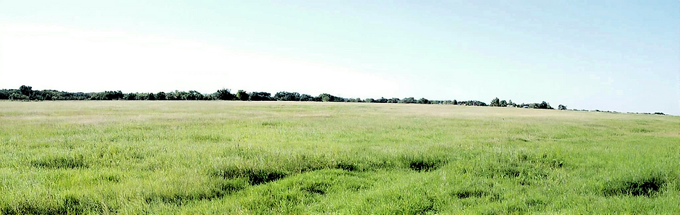 horsehay_field2_banner (1)-fotor-20260608114228.png