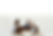 DL-Photoshoot-34.png