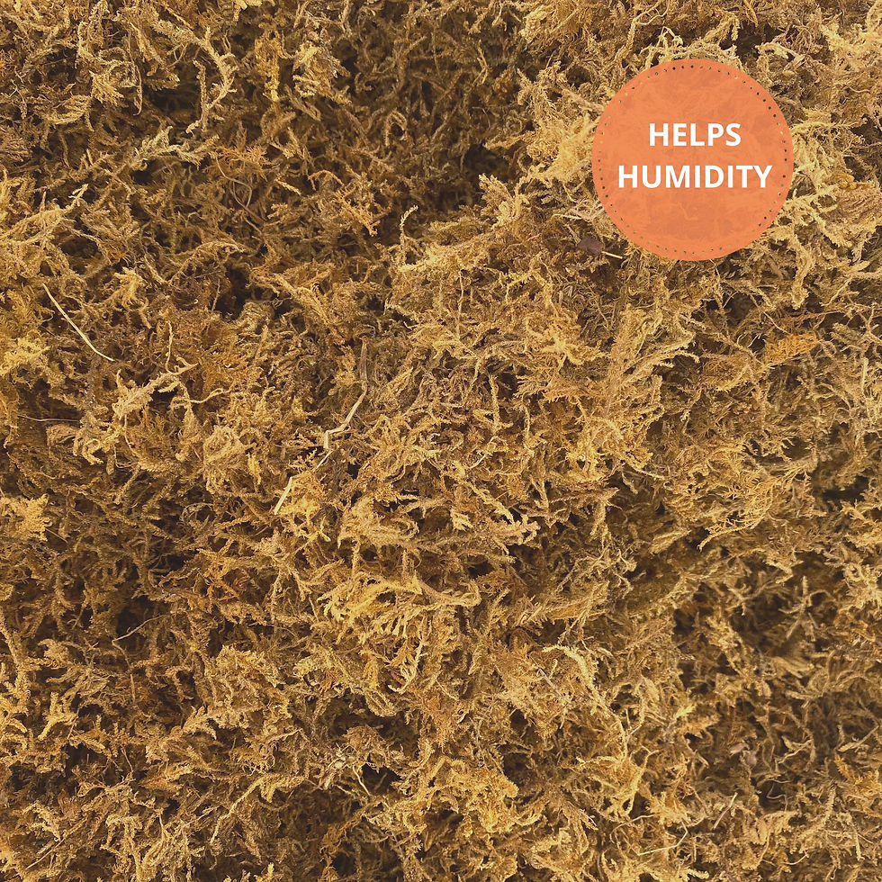 Dry Sphagnum Habitat Moss For Sale UK Edible Food Source & Maintains