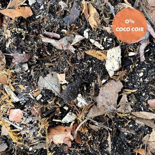 Premium Millipede / Isopod Substrate For Sale UK 0 COCO! Bioactive