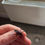 Thumbnail: Ethiopian Cave Crickets - Homeogryllus xanthographus - South Coast Cockroaches