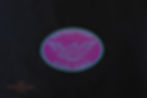 $5