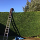 Michael-on-hedge-sq.jpg