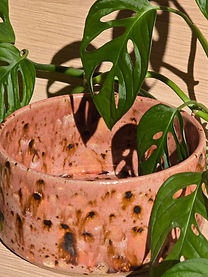 kommen studio flan