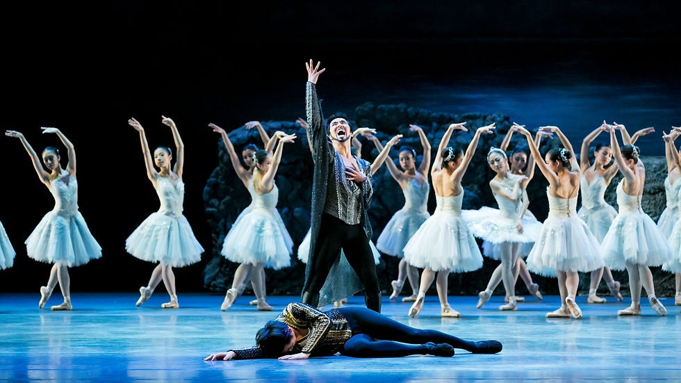 Swan Lake 2015
