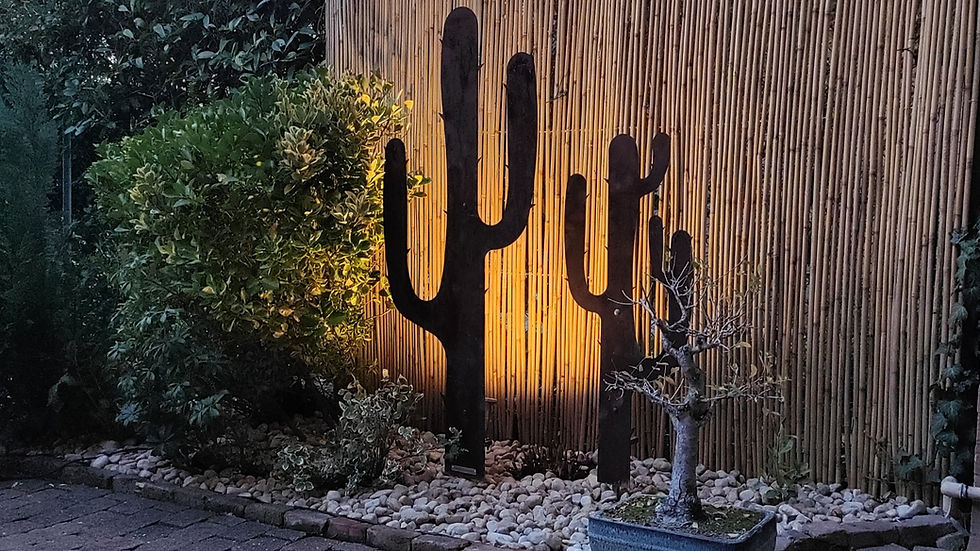 Cactus_background.jpg