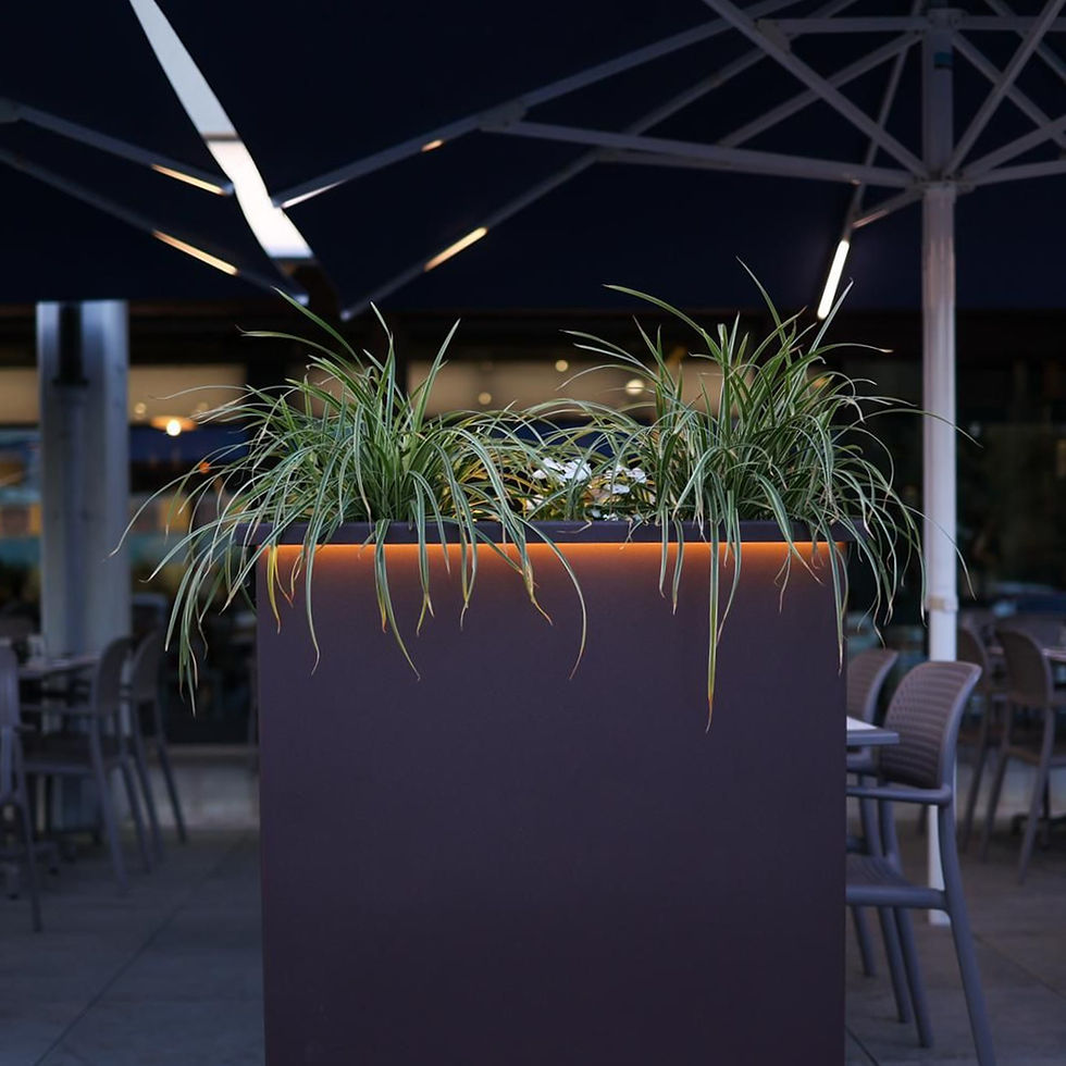 Miniatura: STRIP LED