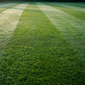 Entretien de Pelouse et Jardins
