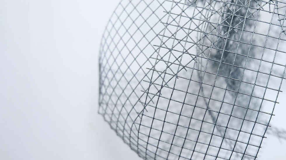 Noel Caban, Unmask. A Study of Pandemic Form.