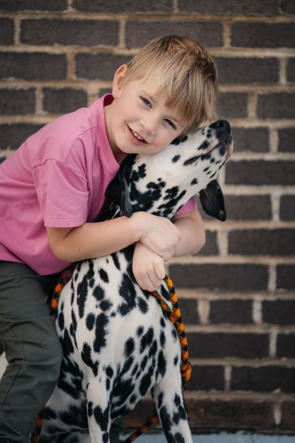 Family Portraits | SILLY GOOSE MEDIA STL