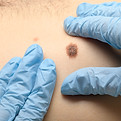 iStock-1217156782.jpg
