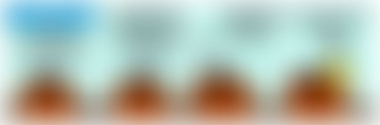 Evidenze Empiriche VIII