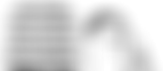 Scit Centro Nowomannocry