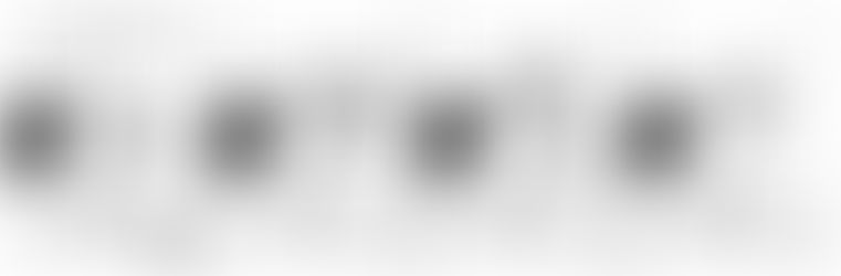 Veni, Vidi, Redii - Fanny XI